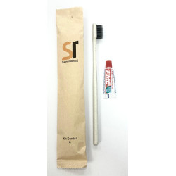 Kit dental 100 unidades